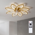Brilagi - ściemnialny wentylator sufitowy LED/43W/230V 3000-6500K śr. 90 cm złoty + pilot zdalnego sterowania