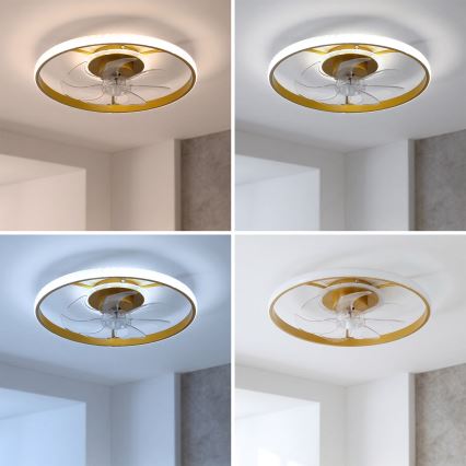 Brilagi - LED ściemnialny wentylator sufitowy LED/66W/230V 55 cm biały/złoty + pilot zdalnego sterowania