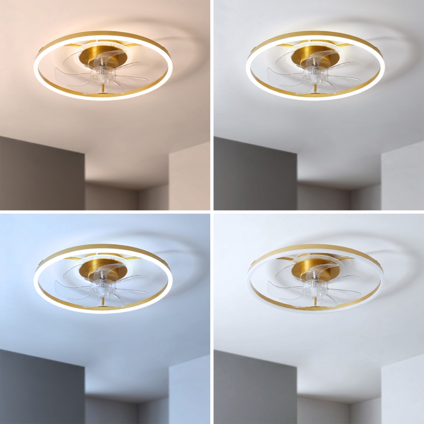 Brilagi - LED ściemnialny wentylator sufitowy LED/66W/230V 3000-6500K śr. 55 cm biały/złoty + zdalne sterowanie