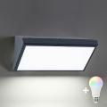 Brilagi - ściemnialny zewnętrzny kinkiet LED RGBW TRIANGLE 1xE27/9W/230V 2700-6500K IP65 antracyt