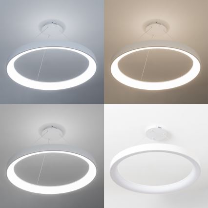 Brilagi - ściemnialna lampa wisząca na linkach FALCON II LED/108W/230V 3000-6500K śr. 80 cm biała + zdalne sterowanie