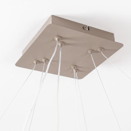 BRILAGI - LED ściemnialna lampa wisząca na lince FALCON SLIM LED/78W/230V 3000-6500K 50x50 cm beżowa + pilot zdalnego sterowania