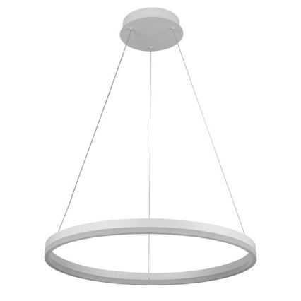 Brilagi - LED ściemnialny żyrandol na lince CIRCLE LED/42W/230V 3000-6500K śr. 60 cm + pilot