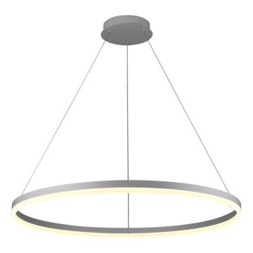 Brilagi - ściemnialny żyrandol LED na linkach CIRCLE LED/55W/230V 3000-6500K śr. 80 cm srebrny + pilot zdalnego sterowania