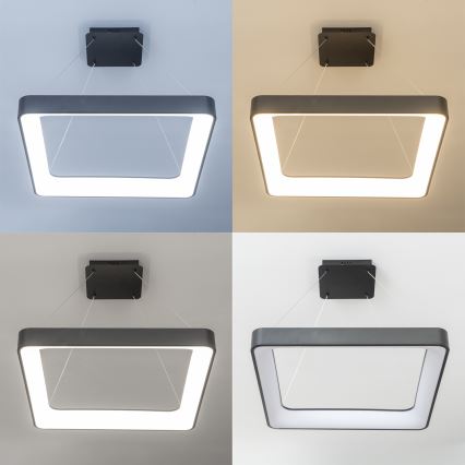 Brilagi - ściemnialny żyrandol LED na linkach FALCON II LED/125W/230V 3000-6500K 60x60 cm czarny + pilot zdalnego sterowania