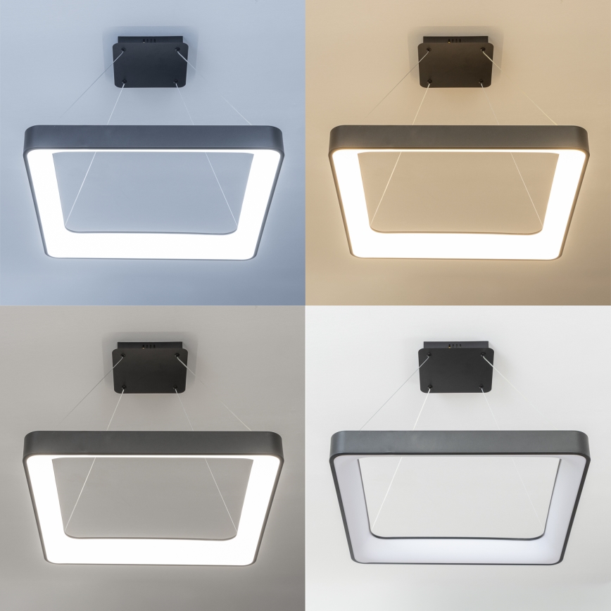 Brilagi - ściemnialny żyrandol LED na linkach FALCON II LED/125W/230V 3000-6500K 60x60 cm czarny + pilot zdalnego sterowania