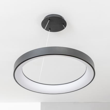 Brilagi - Ściemnialny żyrandol LED na linkach FALCON II LED/99W/230V 3000-6500K średnica 60 cm czarny + pilot zdalnego sterowania