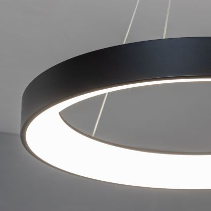 Brilagi - Ściemnialny żyrandol LED na linkach FALCON II LED/99W/230V 3000-6500K średnica 60 cm czarny + pilot zdalnego sterowania