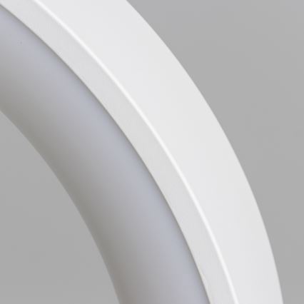 Brilagi - LED ściemnialny żyrandol na lince FALCON LED/80W/230V 3000-6500K śr. 60 cm biały + pilot zdalnego sterowania