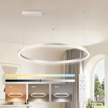 Brilagi - Ściemnialny żyrandol na linkach PORTOFINO LED/60W/230V 3000-6000K śr. 80 cm srebrny + pilot zdalnego sterowania