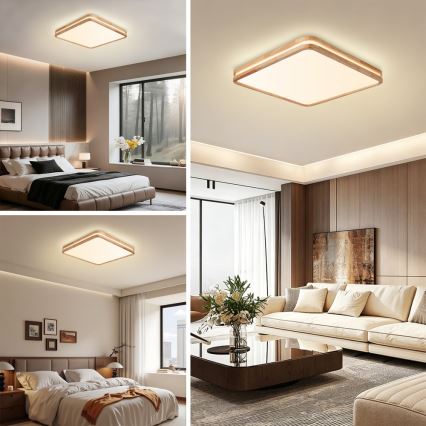Brilagi - LED ściemnialna oprawa sufitowa MOLINA SQUARE LED/80W/230V 3000-6000K dąb 60x60 cm + pilot zdalnego sterowania