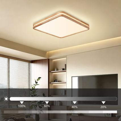 Brilagi - LED ściemnialna oprawa sufitowa MOLINA SQUARE LED/80W/230V 3000-6000K dąb 60x60 cm + pilot zdalnego sterowania