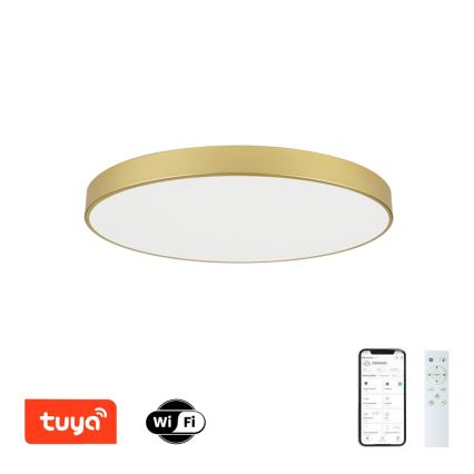 Brilagi - ściemnialna lampa sufitowa POOL SMART LED/100W/230V 3000-6000K 80 cm złota Wi-Fi Tuya + zdalne sterowanie
