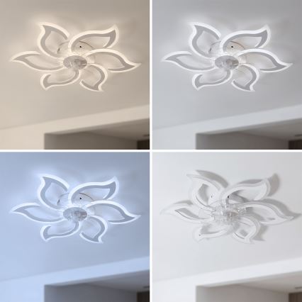 Brilagi - ściemnialny wentylator sufitowy LED/34W/230V 3000-6500K śr. 83 cm biały + pilot zdalnego sterowania
