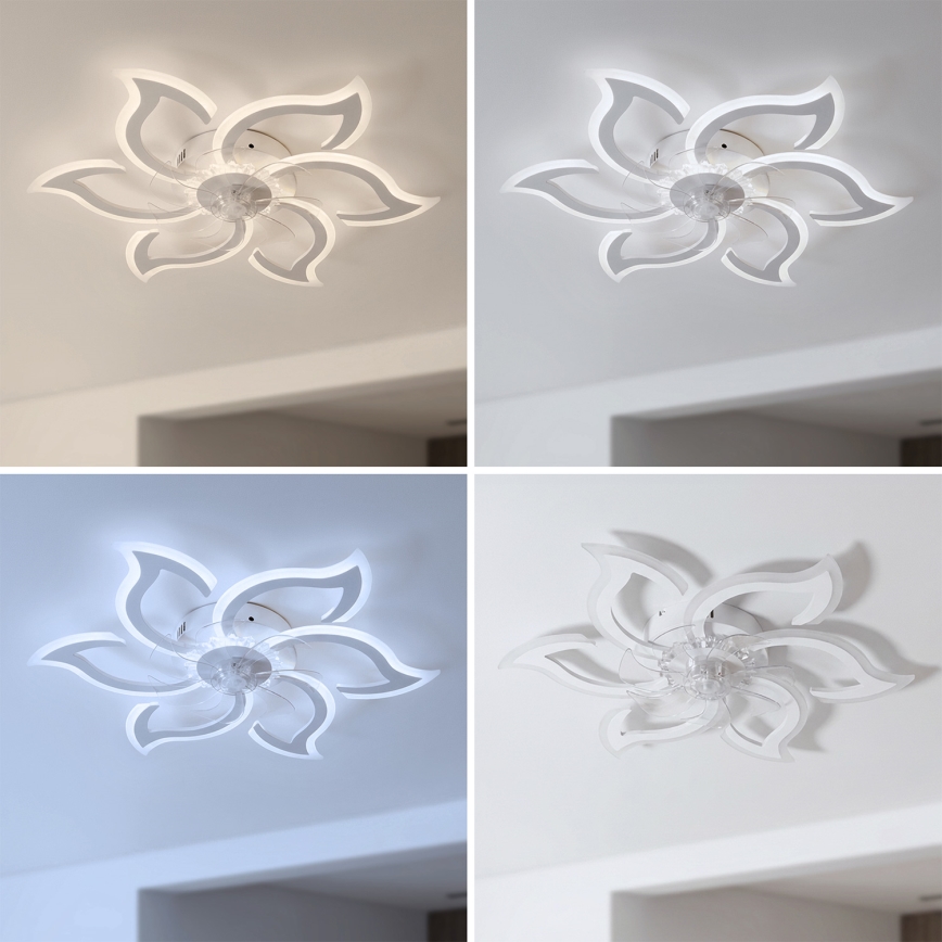 Brilagi - ściemnialny wentylator sufitowy LED/34W/230V 3000-6500K śr. 83 cm biały + pilot zdalnego sterowania