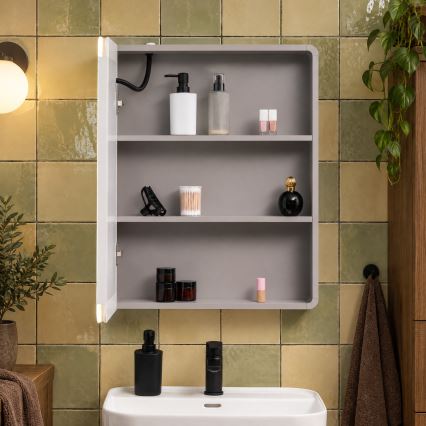 BRILAGI - Szafka łazienkowa z lustrem i podświetleniem LED AVOLA SINGLE 55x70 cm