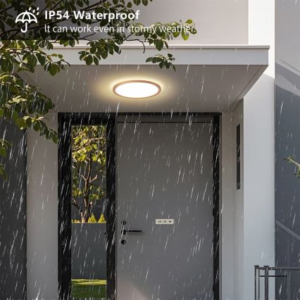 Brilagi - LED łazienkowy plafon ULTRA SLIM LED/18W/230V śr. 30 cm różowe złoto IP54