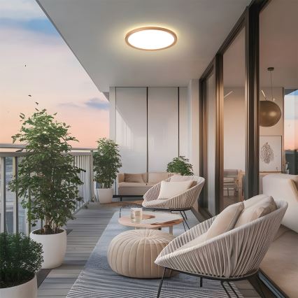 Brilagi - LED łazienkowy plafon ULTRA SLIM LED/18W/230V śr. 30 cm różowe złoto IP54