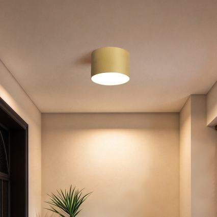 BRILAGI - Zewnętrzna lampa sufitowa FORIS LED/9W/230V śr. 9 cm złota IP44