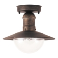 Brilagi - Zewnętrzna lampa sufitowa MOLDE 1xE27/60W IP44 brązowa/patina