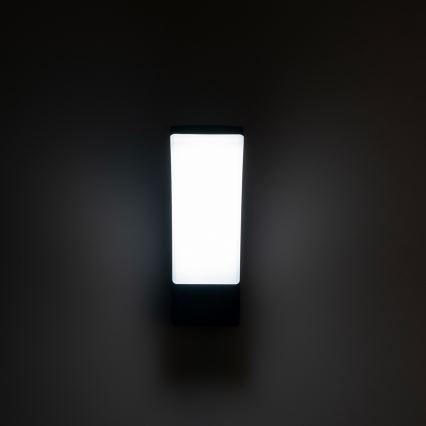 BRILAGI - Zewnętrzny kinkiet LED ARCELO LED/12W/230V IP65 czarny