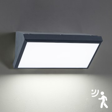 Brilagi - Zewnętrzny kinkiet LED z czujnikiem TRIANGLE LED/20W/230V antracyt IP65