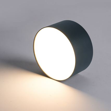 BRILAGI - LED Zewnętrzna lampa sufitowa FORIS LED/20W/230V śr. 15 cm antracyt IP44