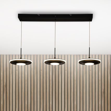 Brilagi - Żyrandol LED na lince VERANO 3xLED/15W/230V