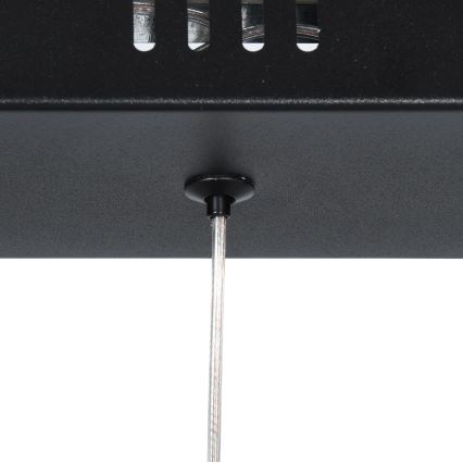 Brilagi - Żyrandol LED na lince VERANO 3xLED/15W/230V