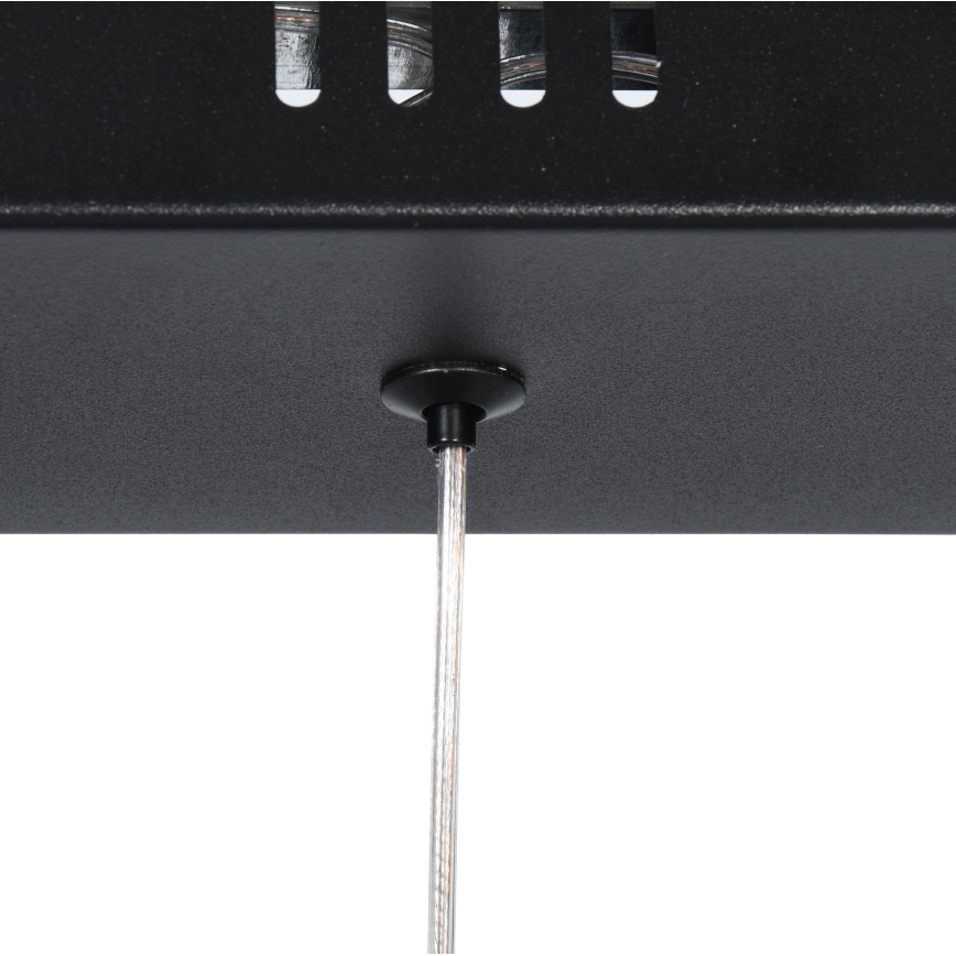 Brilagi - Żyrandol LED na lince VERANO 3xLED/15W/230V