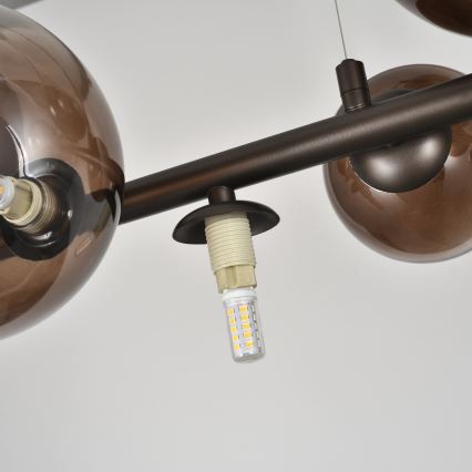 Brilagi - Żyrandol LED na linkach MILLA 10xG9/3W/230V brązowy/dymiony brąz