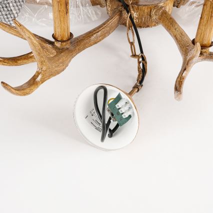 Brilagi - Żyrandol na łańcuchu DEER, 6xE14/10W/230V, Ø 102 cm, poroże