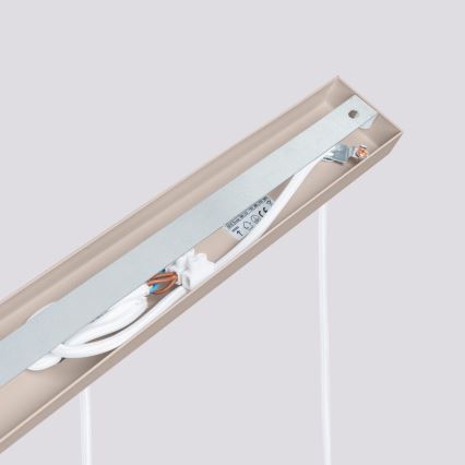 Brilagi - Żyrandol na lince CRESTO 3xGU10/10W/230V taupe
