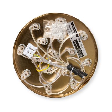 Brilagi - Żyrandol na lince GLOBE 15xE14/15W/230V biały