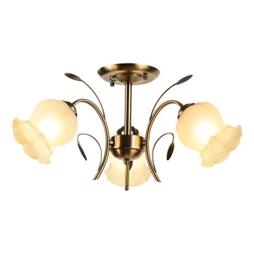 Brilagi - Żyrandol natynkowy FLORA 3xE14/60W/230V brąz