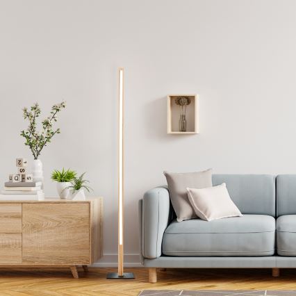 Brilliant - Lampa stojąca ARION LED/14W/230V sosna