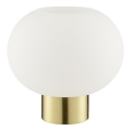 Brilliant - Lampa stołowa FANNY 1xE27/20W/230V mosiądz
