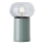 Brilliant - Lampa stołowa KNUT 1xE27/25W/230V zielona/przezroczysta
