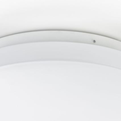 Brilliant - Lampa sufitowa LED FARICA LED/12W/230V śr. 26 cm biała
