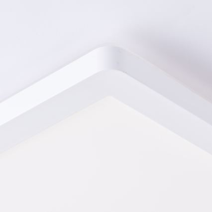 Brilliant - Lampa sufitowa LED MILTON LED/24W/230V 42x42 cm biała