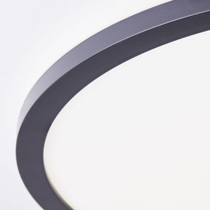 Brilliant - Lampa sufitowa LED MILTON LED/24W/230V śr. 42 cm czarna