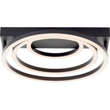 Brilliant - Lampa sufitowa LED PEDLEY 36W/230V czarna