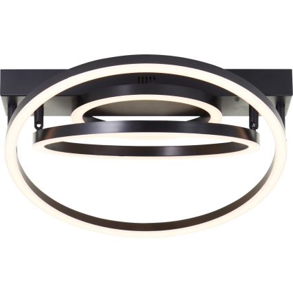 Brilliant - Lampa sufitowa LED PEDLEY 36W/230V czarna