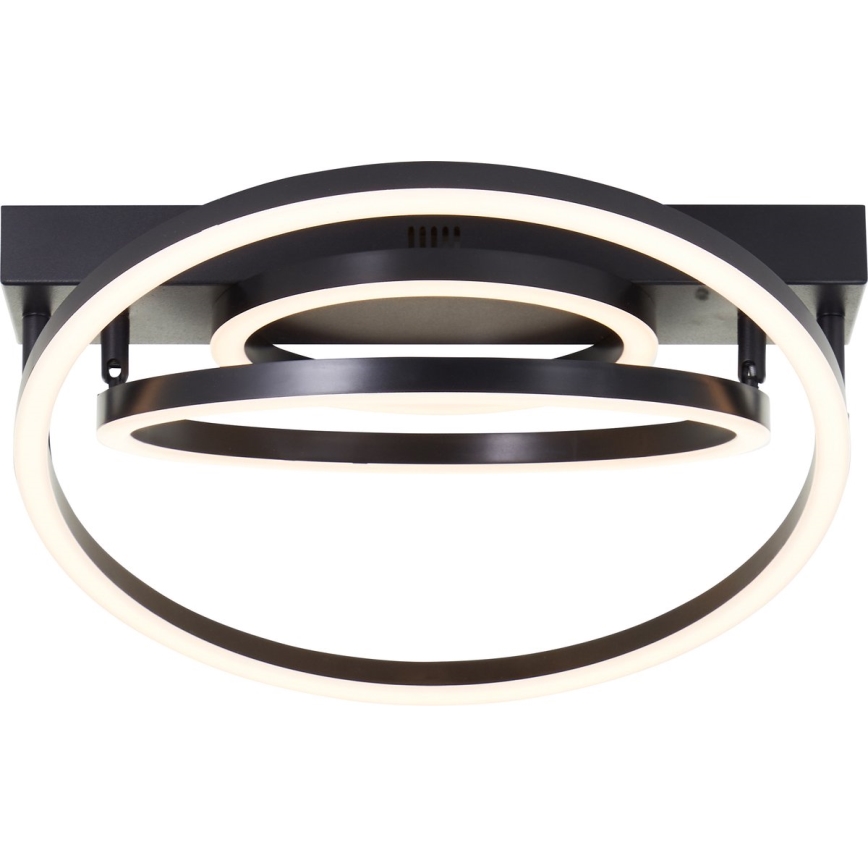Brilliant - Lampa sufitowa LED PEDLEY 36W/230V czarna