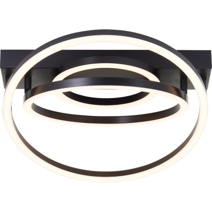 Brilliant - Lampa sufitowa LED PEDLEY 36W/230V czarna