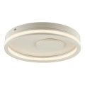 Brilliant - Lampa sufitowa LED REVOLA LED/33W/230V 3000/4000/6500K śr. 40 cm beżowa