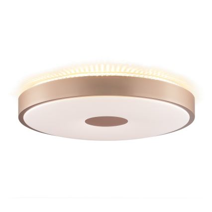 Brilliant - Lampa sufitowa LED TAVIS LED/24W/230V śr. 44,5 cm różowo-złota