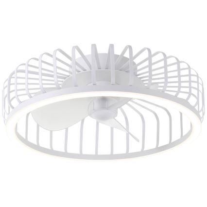 Brilliant - Lampa sufitowa LED ściemnialna z wentylatorem CAPO LED/36W/230V 2700-6500K Ø 48 cm biała + pilot zdalnego sterowania