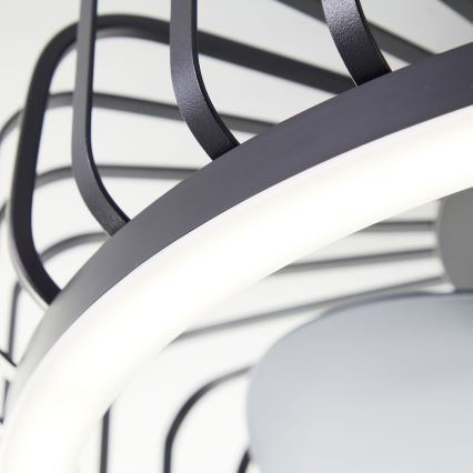 Brilliant - LED Ściemnialna lampa sufitowa z wentylatorem CAPO LED/36W/230V 2700-6500K śr. 48 cm czarna + pilot zdalnego sterowania