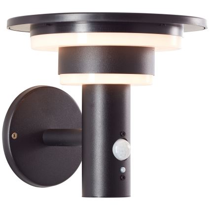 Brilliant - LED Kinkiet solarny z czujnikiem GARVINA LED/3W/3,7V IP44 czarny